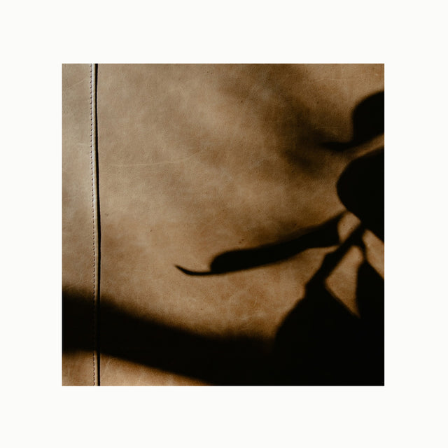 Leather + Amber scent artwork